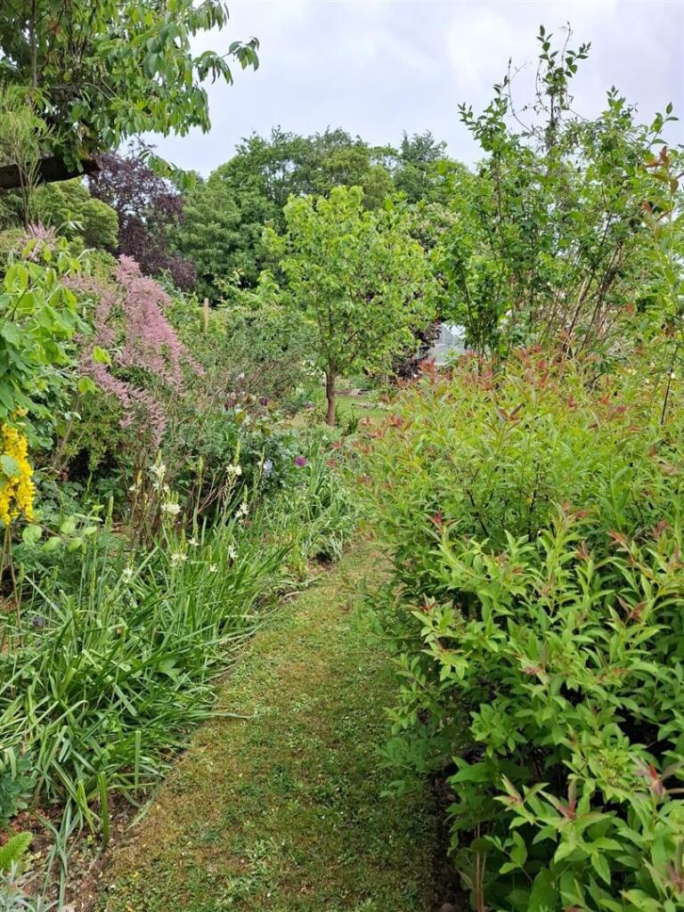 Garden Additional Photo's