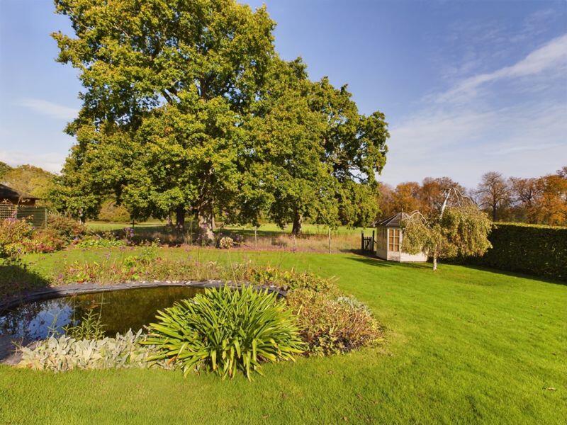 Garden &amp; pond