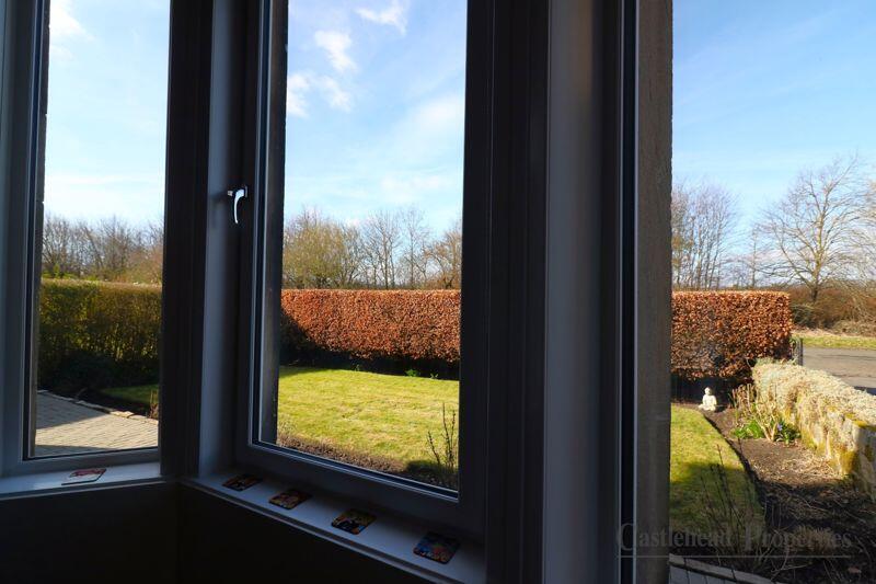 View from Dining Room