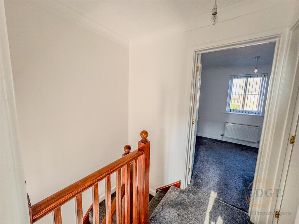 42 poppy close -04.jpg