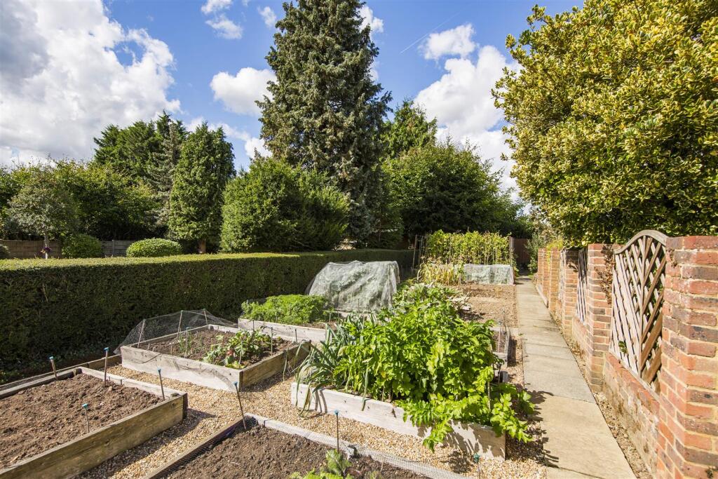 Productive Vegetable Patch