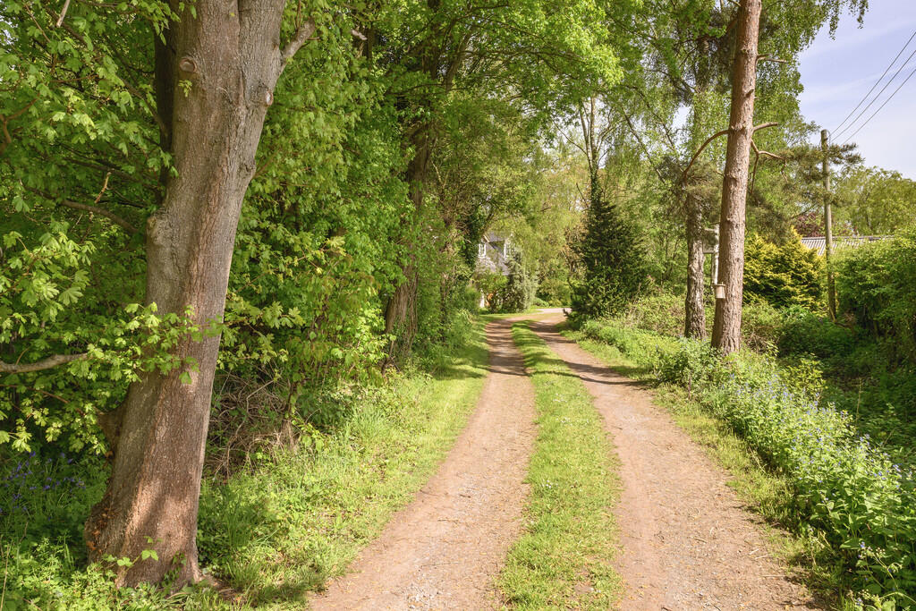 Driveway 2