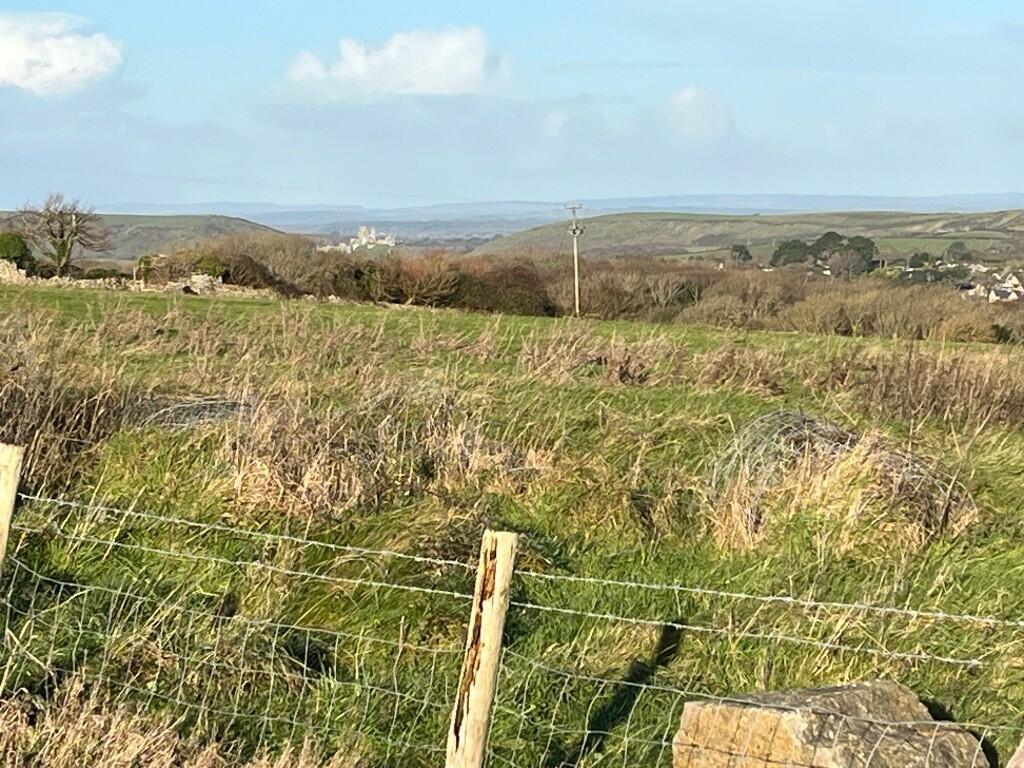 View from garden