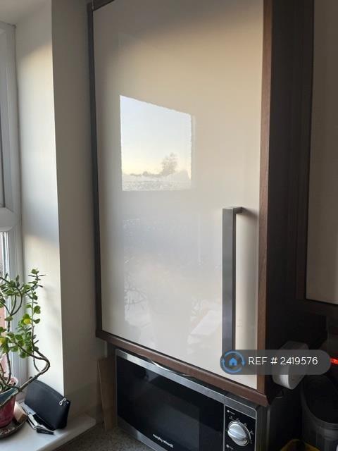 Boiler Cupboard