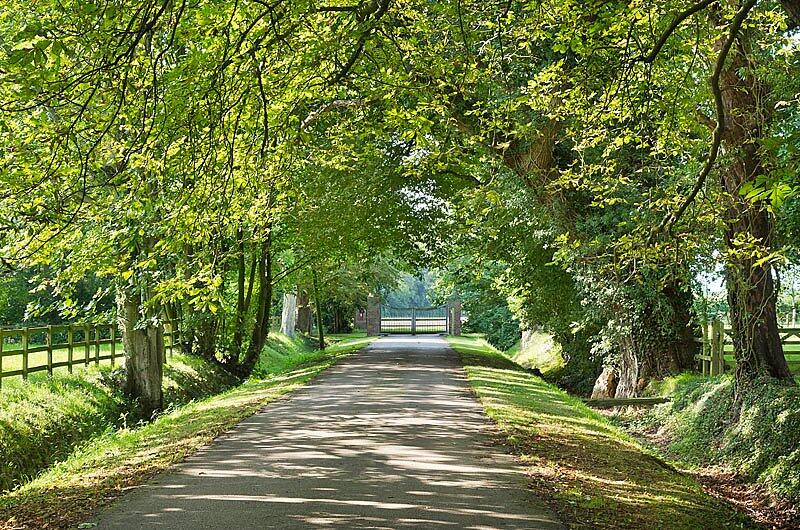 Driveway