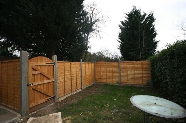 garden 131.jpg