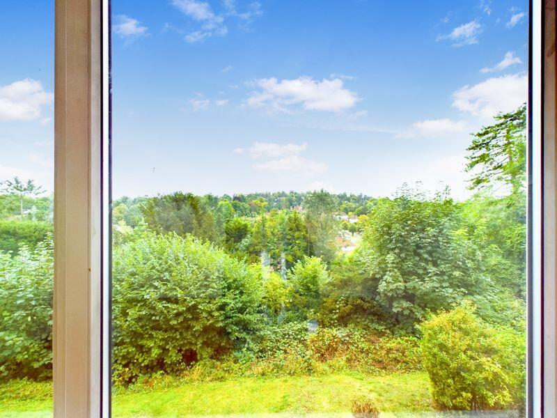 VIEW FROM LIVING ROOM