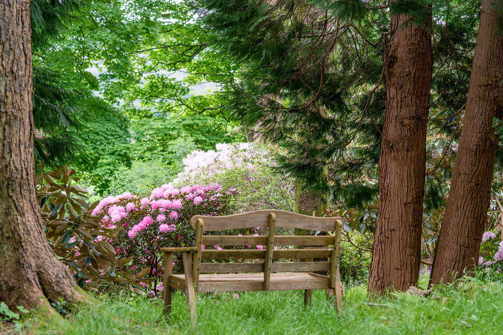 Communal Gardens