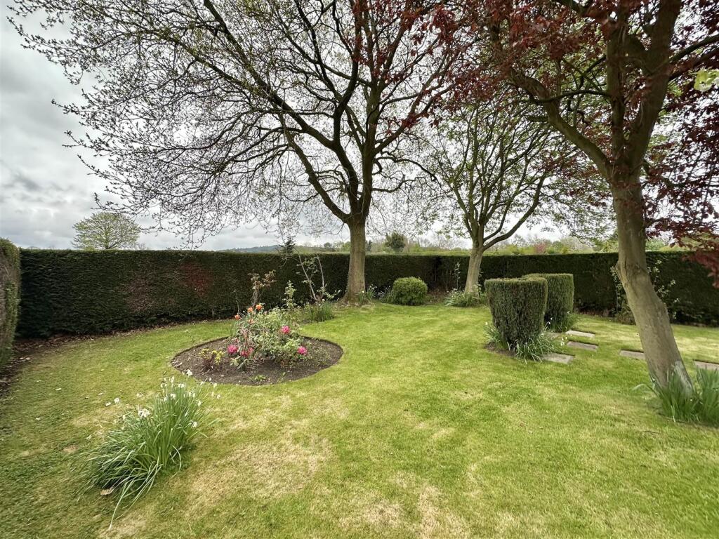 Luke Miller &amp; Associates