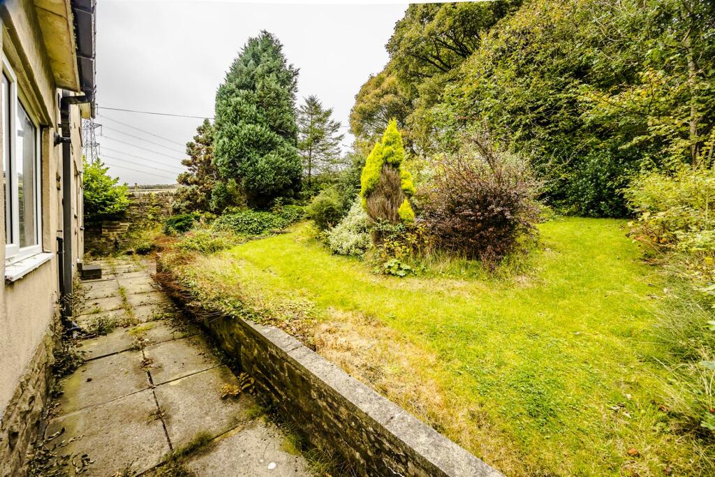 43BDGRHipp-200924-27.jpg