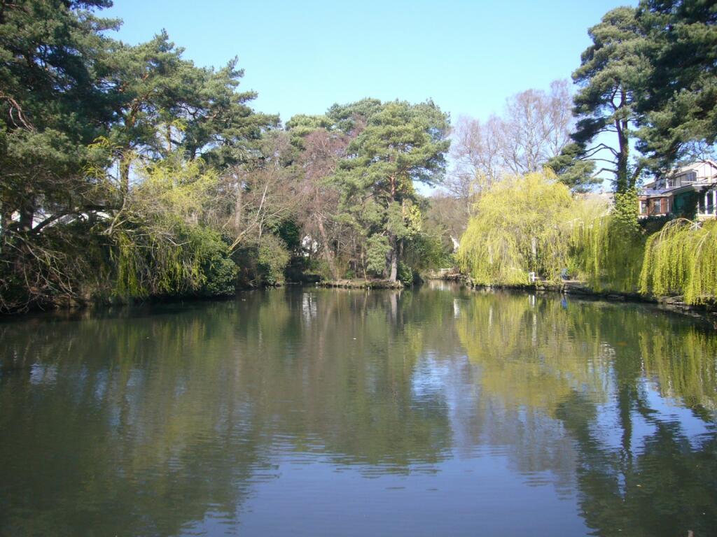Coy Pond Nearby
