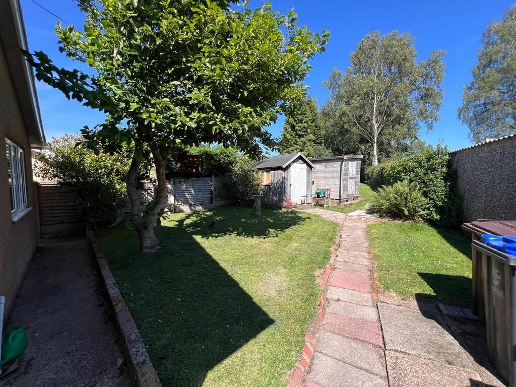 WhatsApp Image 20...