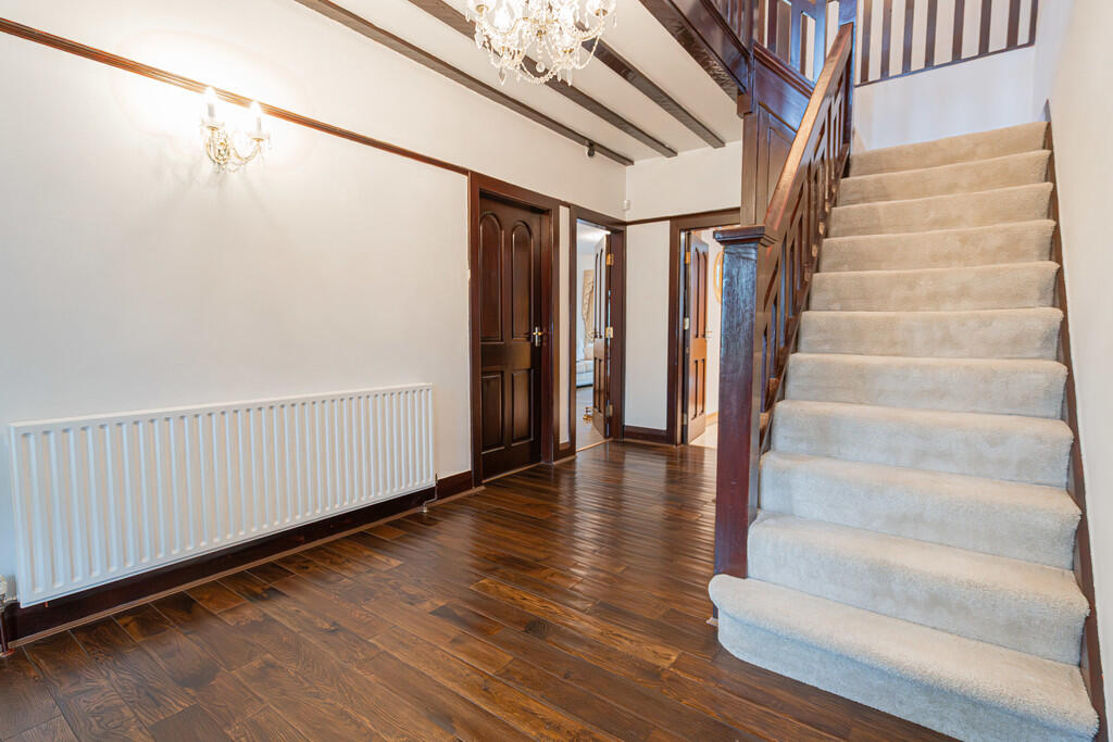 20250801-DSC05948...