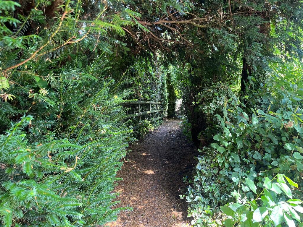 Rear Garden: