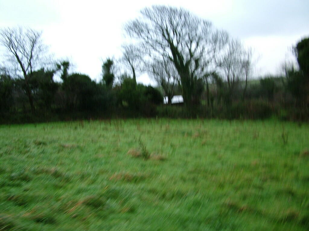 DSCF1198