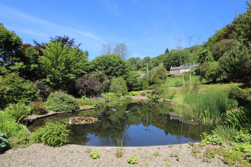 pond.JPG