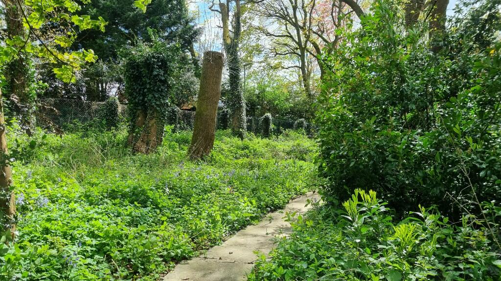 Communal Gardens
