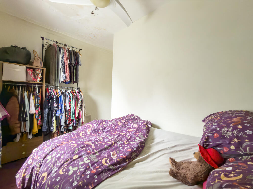 IMG 5402 T202510071944.jpg