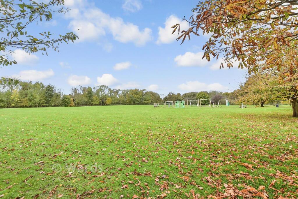 Surrounding Area