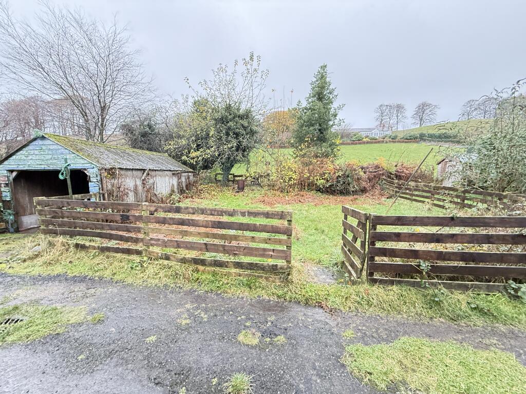 IMG 2029 T202511131557.jpg