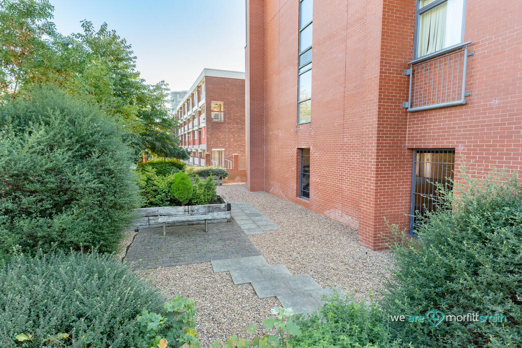 Rear Elevation