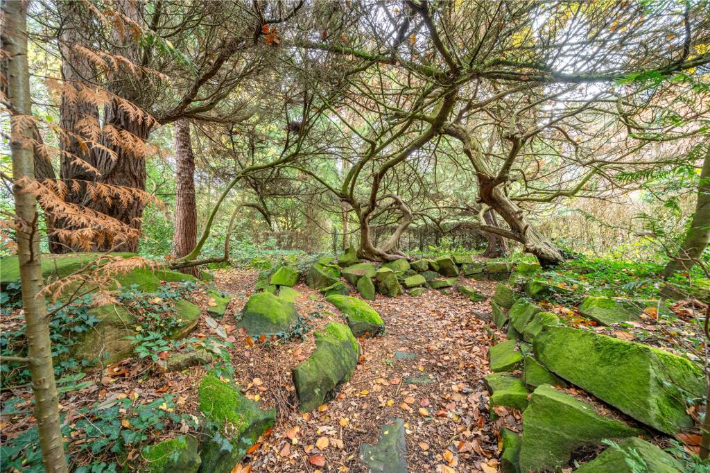 Rock Garden