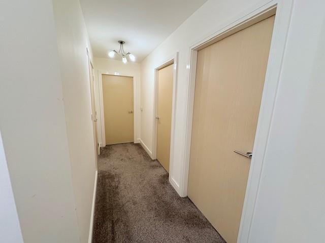 39 Gladstone Hallway.jpg