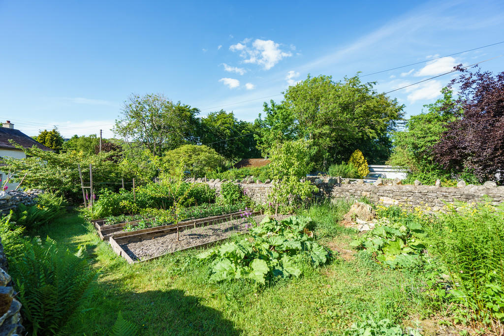 Vegetable Patch