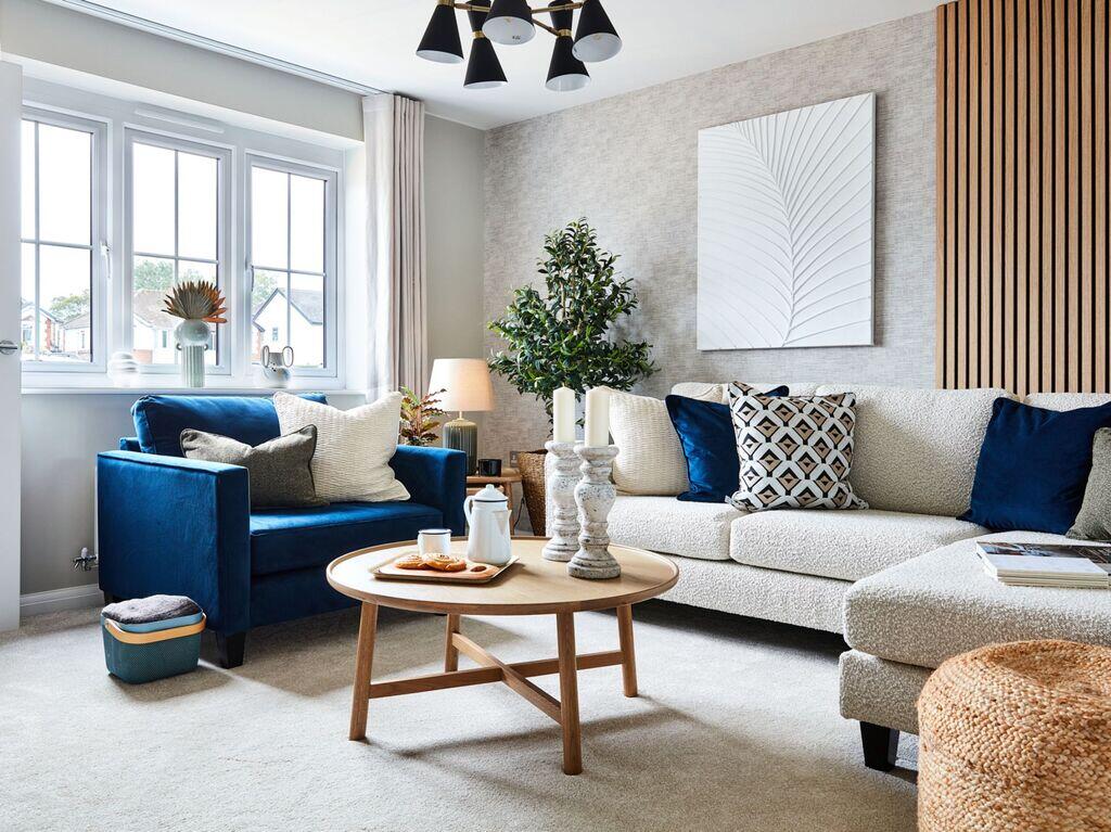 NMACC_BOVIS_HAZEL_002