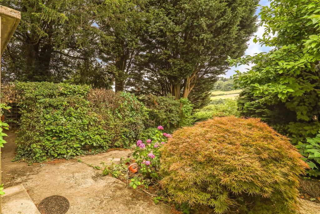 Ph28_6116732 - Copy.jpg