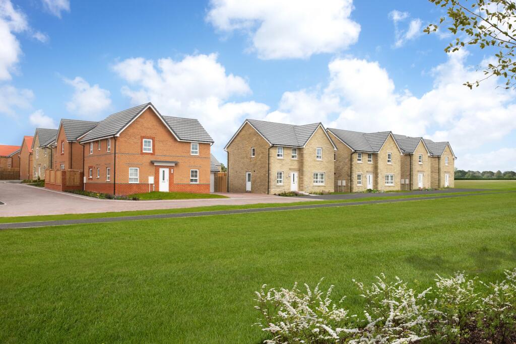 External image Alderney Radleigh Kingsley Amblers Meadow