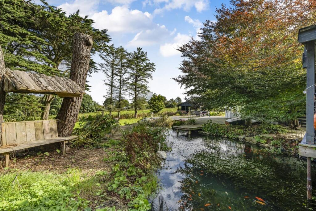 Garden Pond
