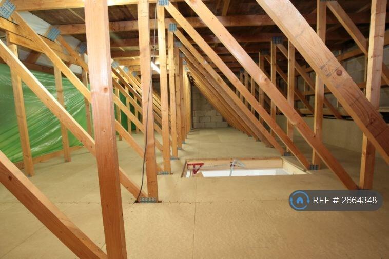 Boarded &amp; Lighted Attic
