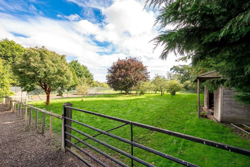 Paddock Land