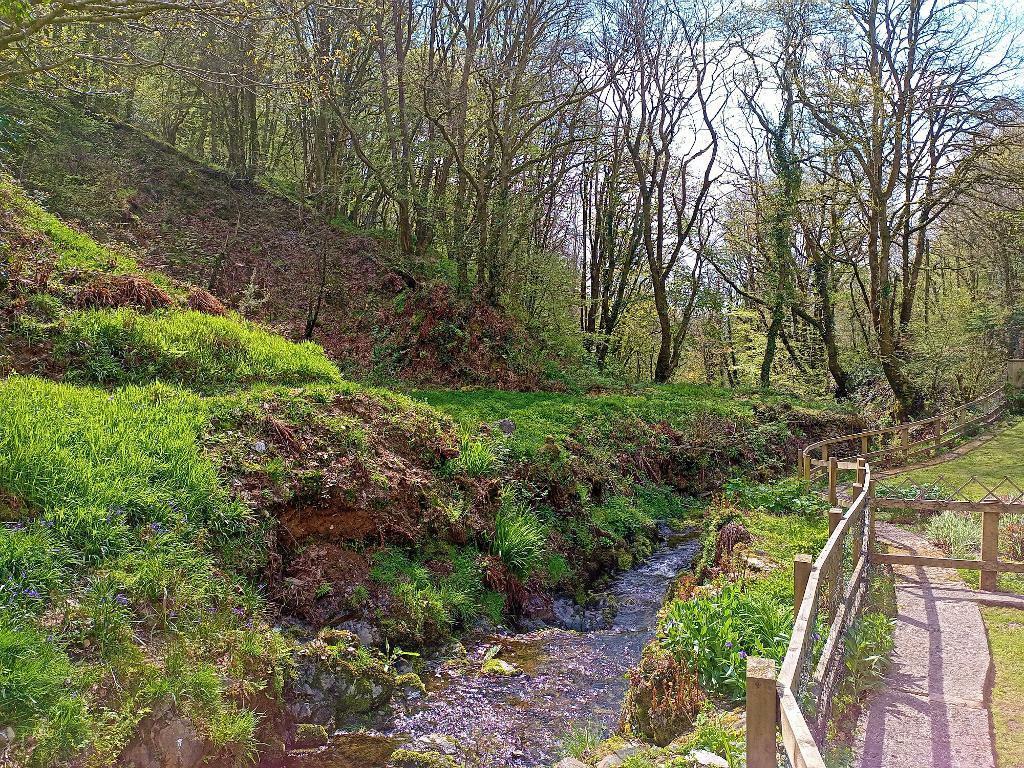 River and Woodland