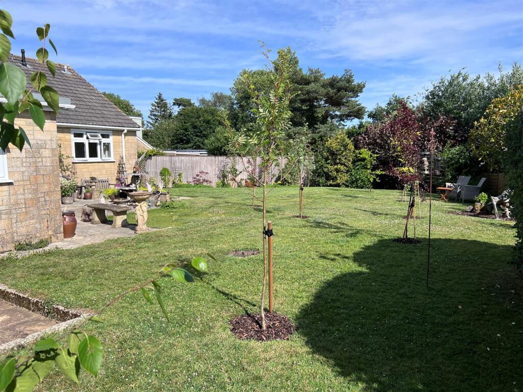 Garden d.jpg