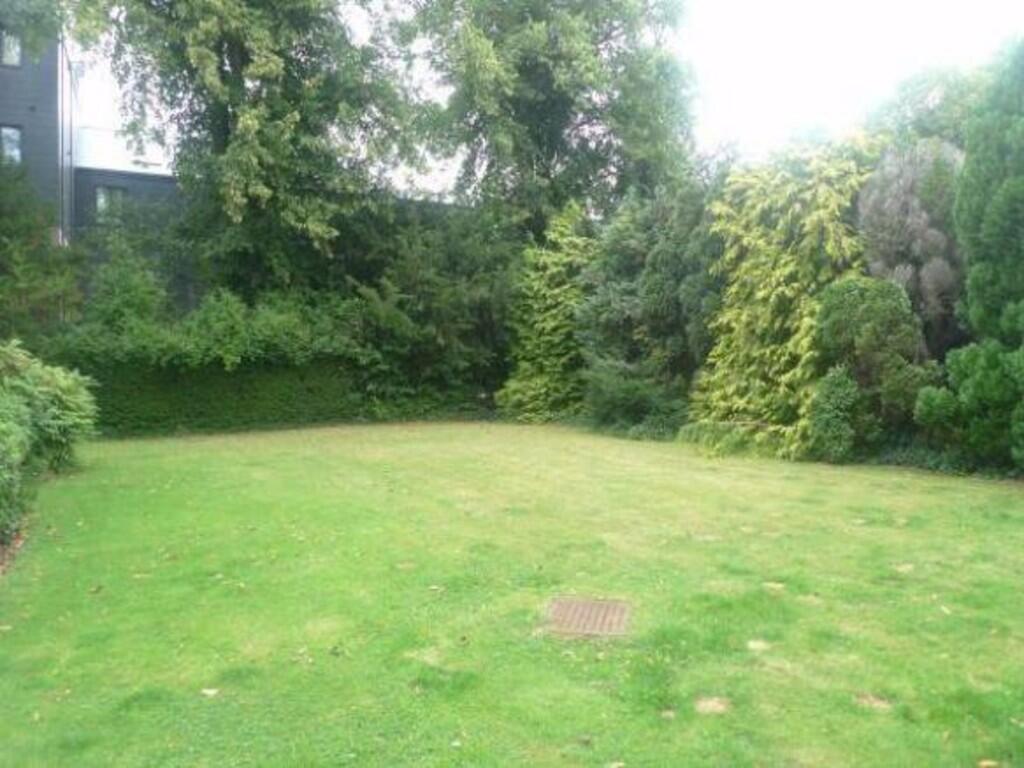 garden 1