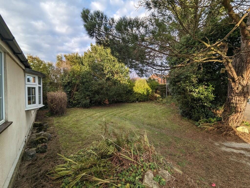 garden 6