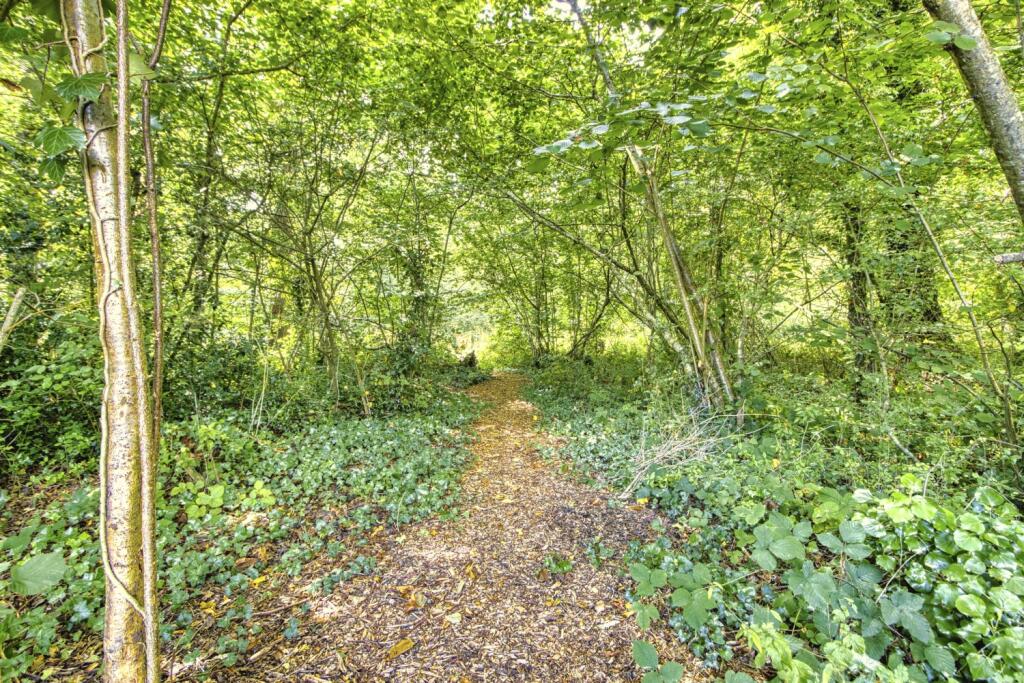Greenway (26)