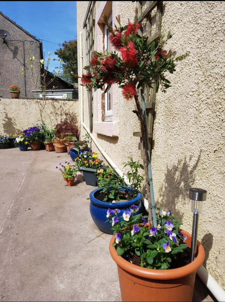 CURRENT OWNERS PHOTOS