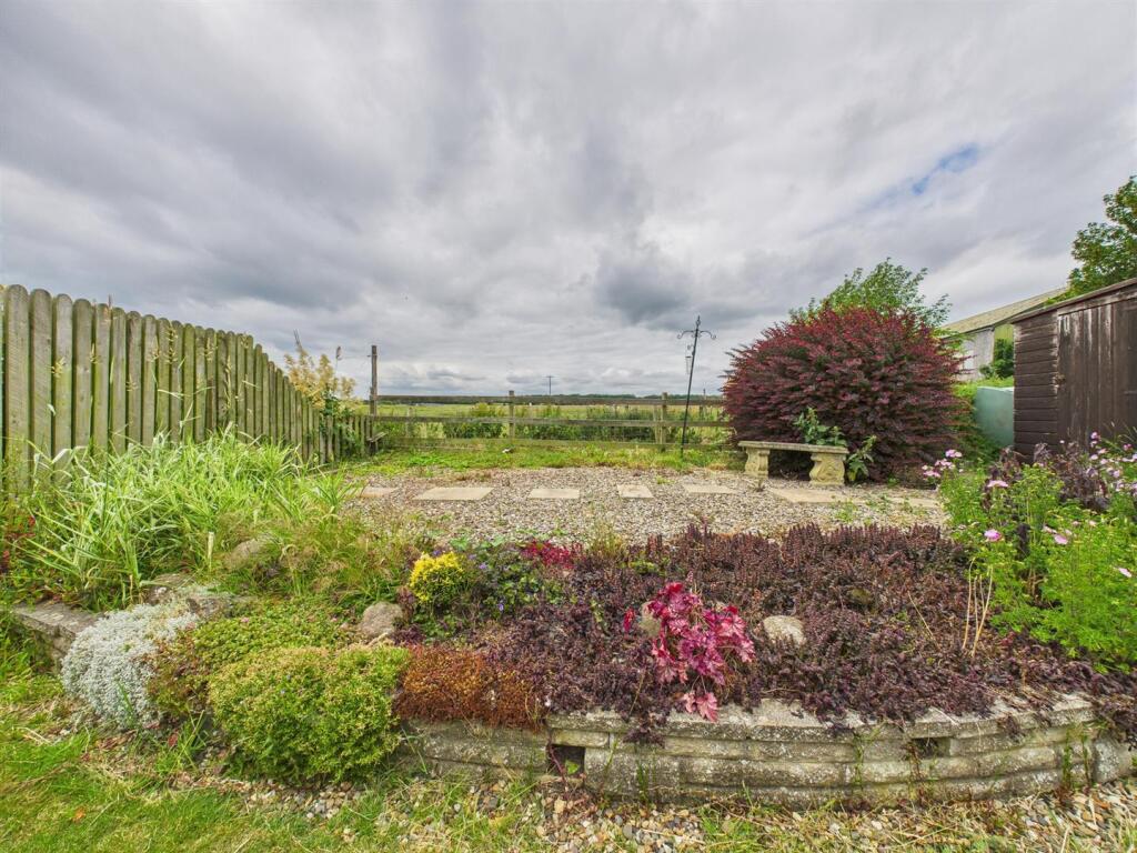 Garden: