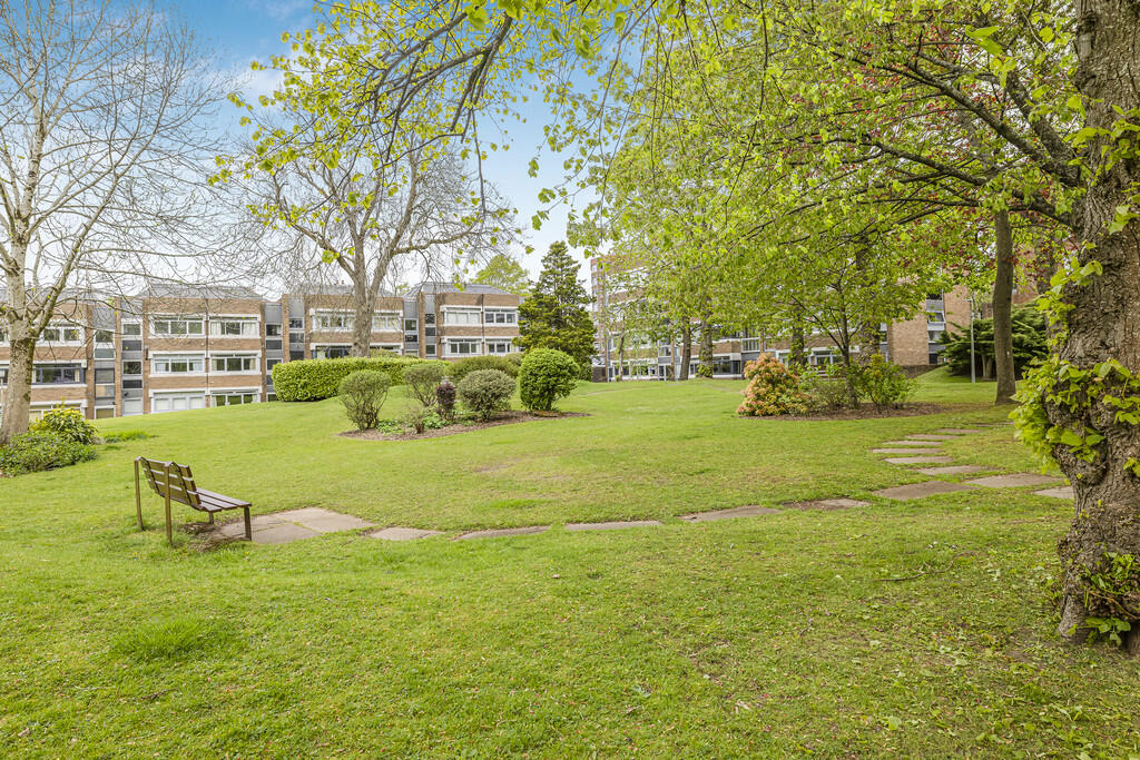 35-print-28 Lethi...