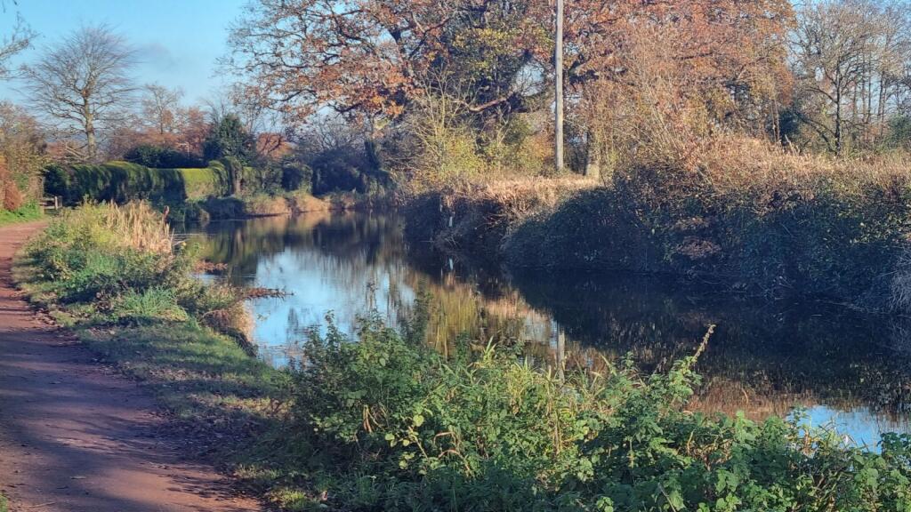 Tiverton - Seddons
