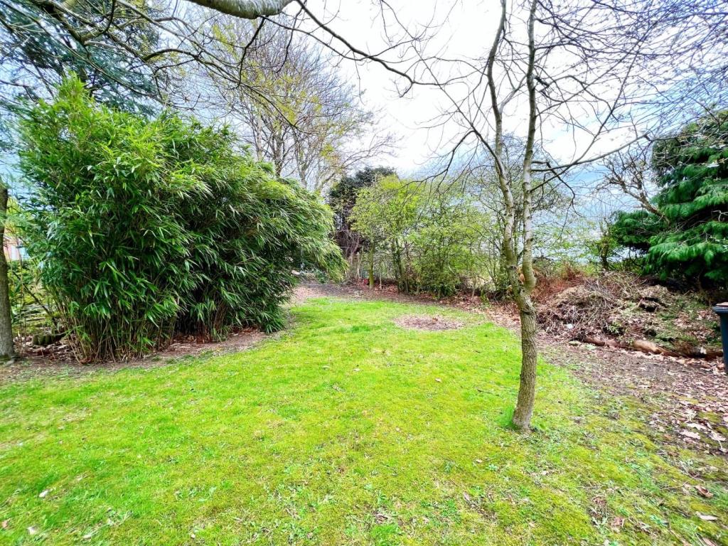 Garden 14.jpg