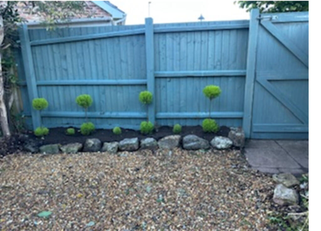 evening garden 2