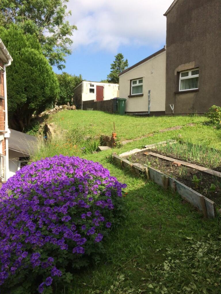 Elevated rear garden