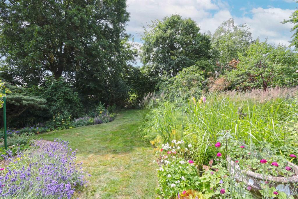 Garden 5.jpg