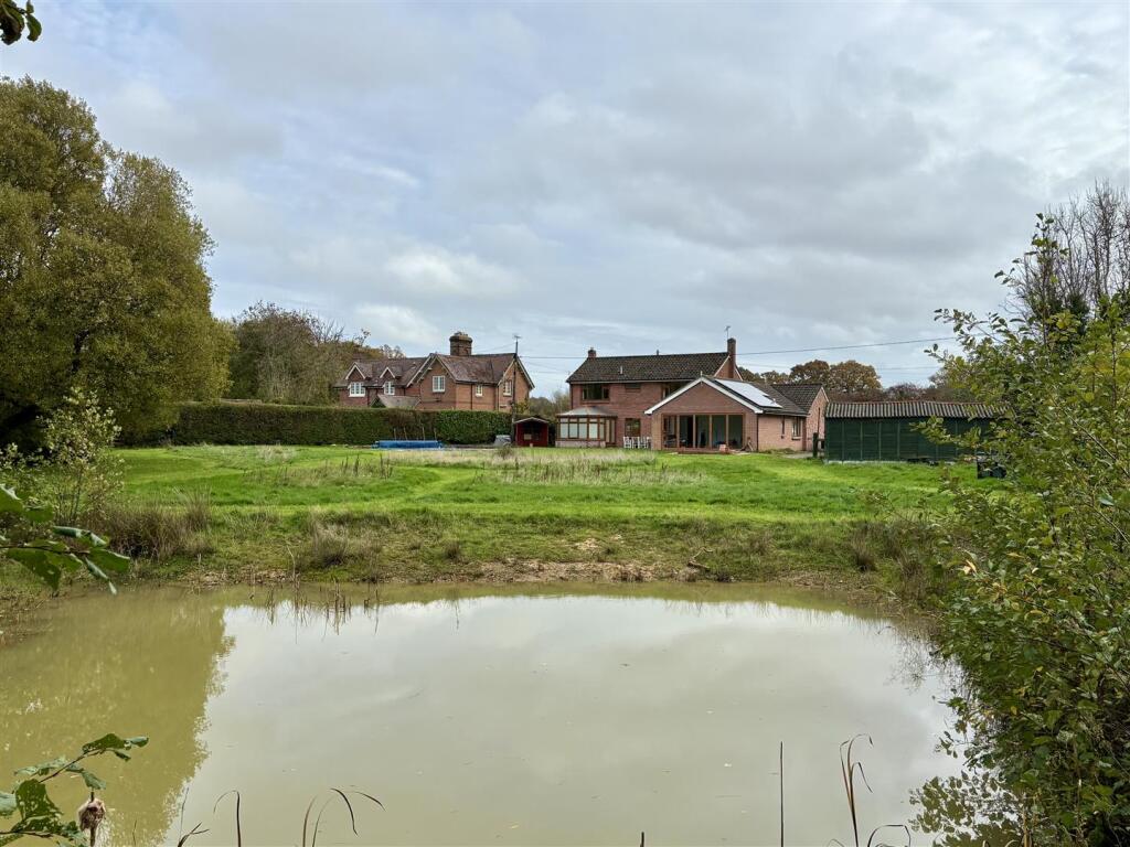 6. pond.jpg