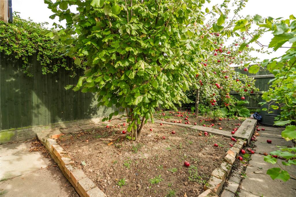 Garden (4)