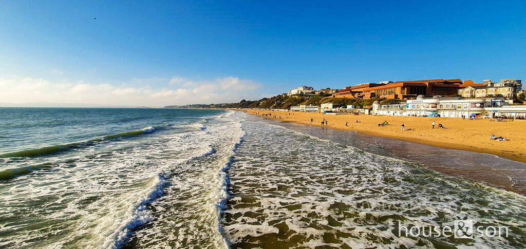 315111737_9067239...